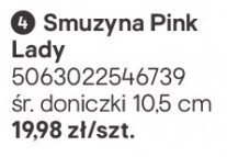 Smuzyna Pink Lady promocja w Castorama
