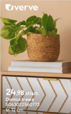 Donica trawa śr. 12 cm promocja w Castorama