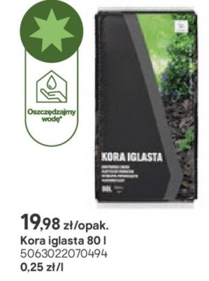 Kora iglasta 80l promocja w Castorama