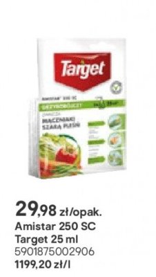 środek grzybobójczy Amistar 250 SC Target 25 ml promocja w Castorama