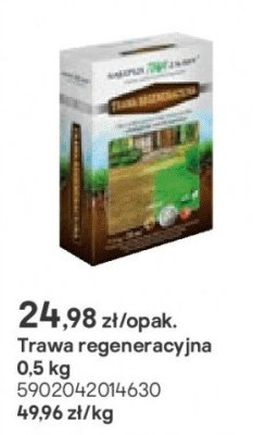 trawa regeneracyjna 0,5 kg promocja w Castorama