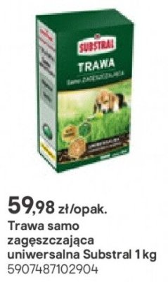 Trawa samozagęszczająca uniwersalna 1 kg promocja w Castorama