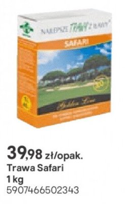 Trawa Safari 1 kg promocja w Castorama