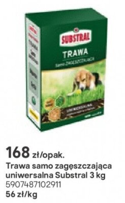 Trawa samo zagęszczająca uniwersalna 3 kg promocja w Castorama