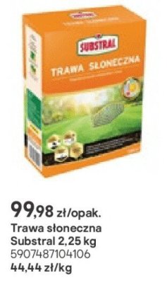 Trawa słoneczna 2,25 kg promocja w Castorama