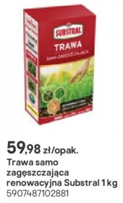 Trawa samozagęszczająca renowacyjna 1 kg promocja w Castorama