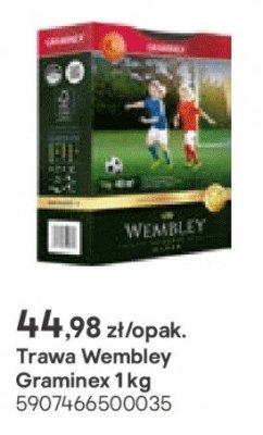 Trawa Wembley Graminex 1 kg promocja w Castorama