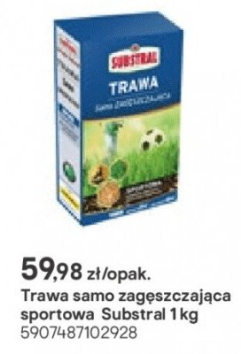 Trawa samozagęszczająca sportowa 1 kg promocja w Castorama