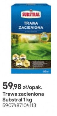 Trawa zacieniona 1 kg promocja w Castorama