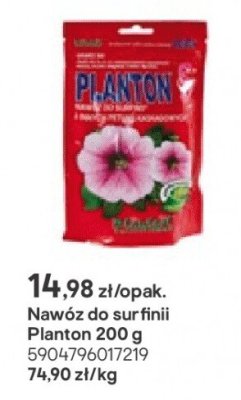 nawóz do surfinii Planton 200 g promocja w Castorama