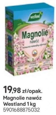 Nawóz do magnolii promocja w Castorama