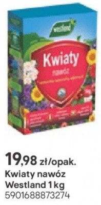 Nawóz do kwiatów promocja w Castorama