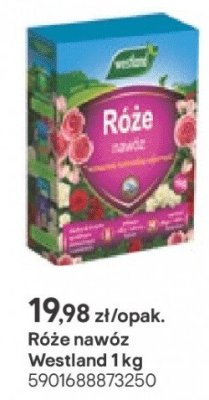 Nawóz do róż promocja w Castorama