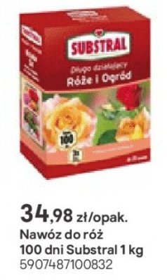 Nawóz do róż promocja w Castorama