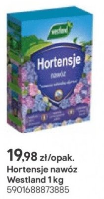 Nawóz do hortensji promocja w Castorama