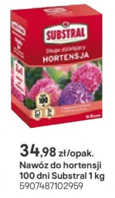 Nawóz do hortensji promocja w Castorama