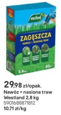 Nasiona traw Westland 2,8 kg promocja w Castorama