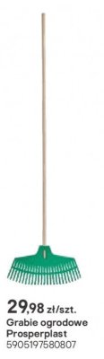 grabie ogrodowe Prosperplast promocja w Castorama