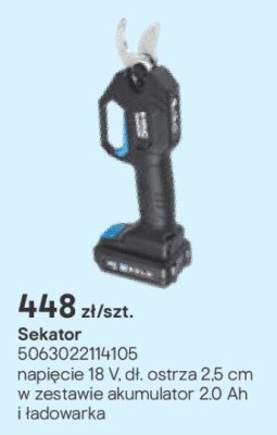 Sekator z akumulatorem i ładowarką promocja w Castorama
