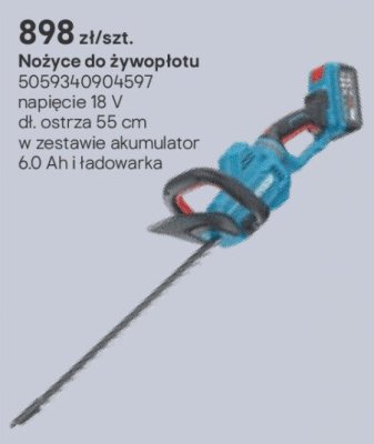 Nożyce do żywopłotu promocja w Castorama