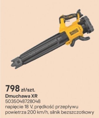 Dmuchawa XR promocja w Castorama