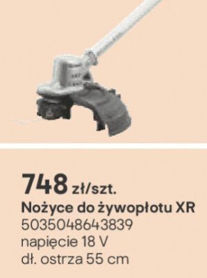 nożyce do żywopłotu XR promocja w Castorama