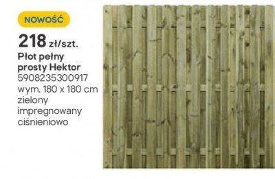 Płot pełny prosty Hektor 180x180 cm promocja w Castorama