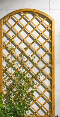 Katalog Ogrody, tarasy i balkony 2025, strona 224 promocja w Castorama