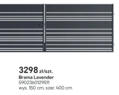 Brama Lavender promocja w Castorama
