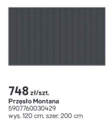 Przęsło Montana promocja w Castorama