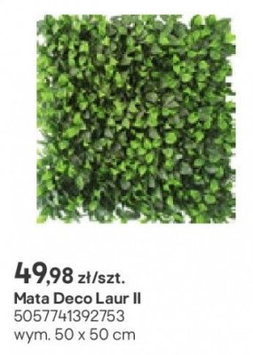 Mata Deco Laur II promocja w Castorama