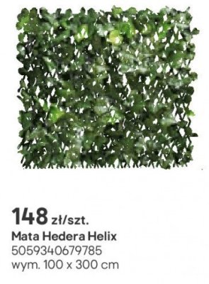 Mata Hedera Helix promocja w Castorama