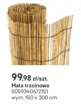 mata trzcinowa 150 x 300 cm promocja w Castorama