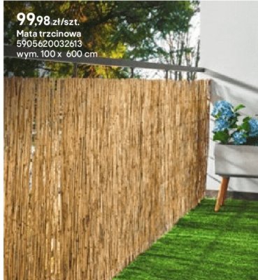 mata trzcinowa 100 x 600 cm promocja w Castorama