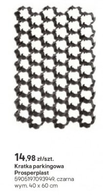 Kratka parkingowa czarna 40x60 cm, 1 szt. promocja w Castorama