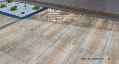 Płyta Triest wapień muszlowy 30x60x5 cm promocja w Castorama