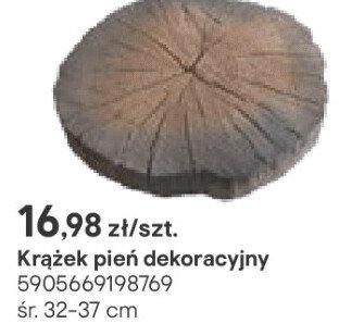 Krążek pień dekoracyjny promocja w Castorama