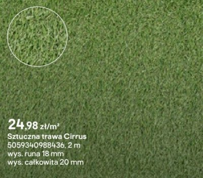 sztuczna trawa Cirrus promocja w Castorama