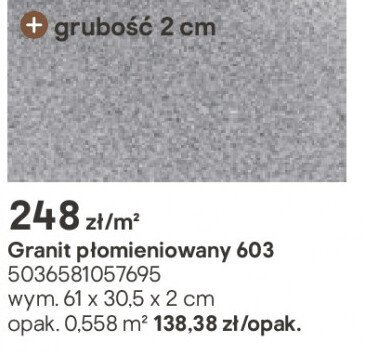 Granit płomieniowany 603, grubość 2 cm promocja w Castorama