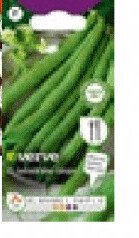 Nasiona Bio Verve marchew  promocja w Castorama