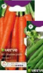 Nasiona Bio Verve sałata promocja w Castorama