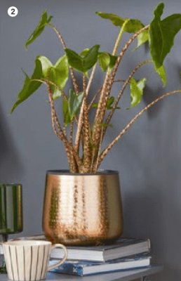 Donica kula promocja w Castorama