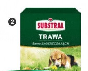 Nawóz do trawnika promocja w Castorama