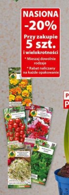 Nasiona - różne rodzaje kwiatów i warzyw promocja w Dino