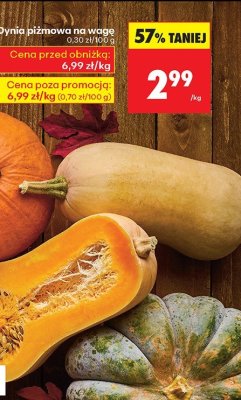 Dynia promocja w Biedronka