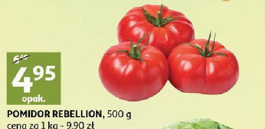 Pomidory rebellion promocja