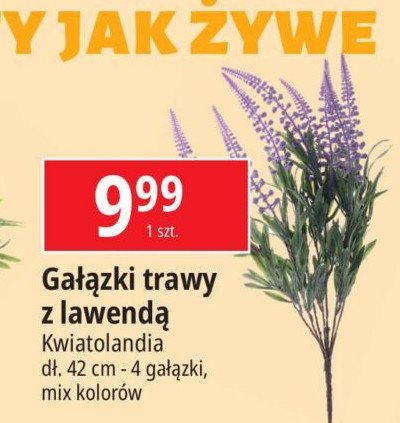 Gałązki trawy z lawendą 42 cm Kwiatolandia promocja