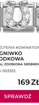 Ogniwo Podkowa, Stal Zdobiona Srebrem promocja w Briju