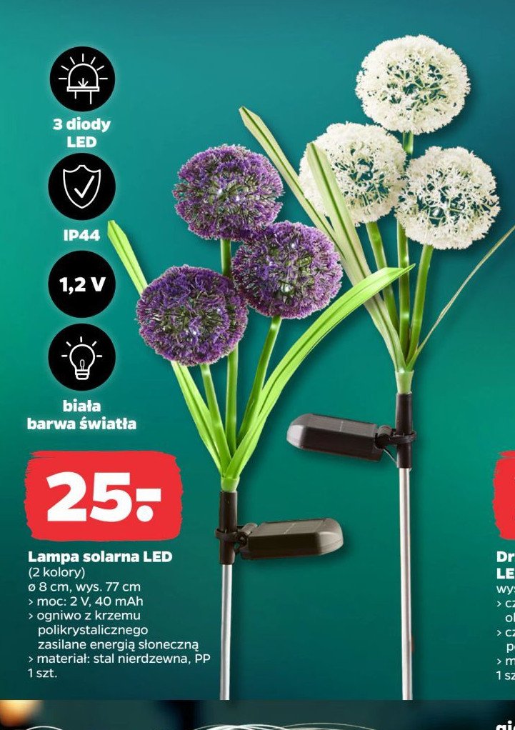 Lampa solarna led 8 cm promocja w Netto