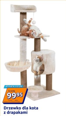 Drzewko dla kota z drapakami  promocja w Action